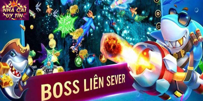 Phân biệt các loại cá và giá trị cá