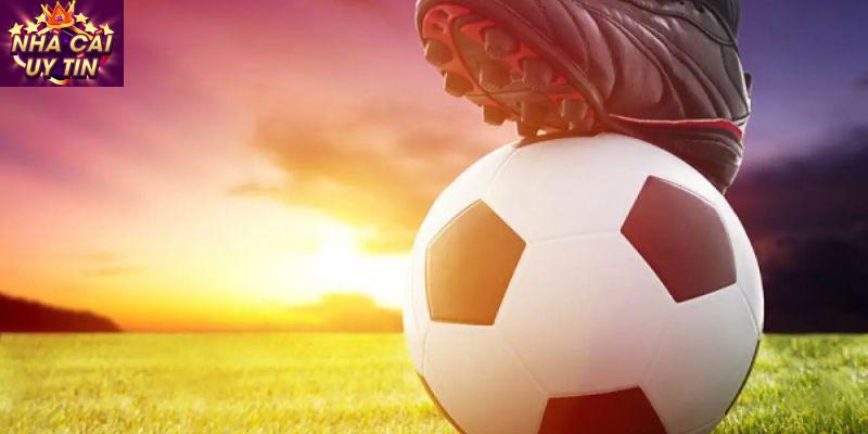 Quyết đinh cá độ hiệu quả