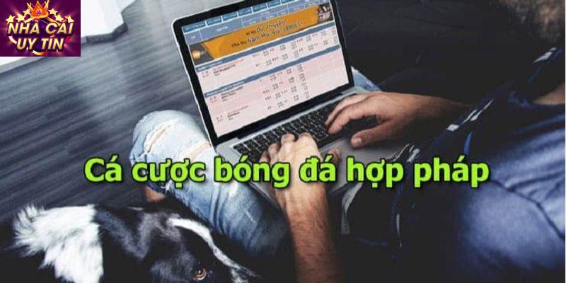 đặt cược an toàn Tại sao cần phải Đặt Cược An Toàn?