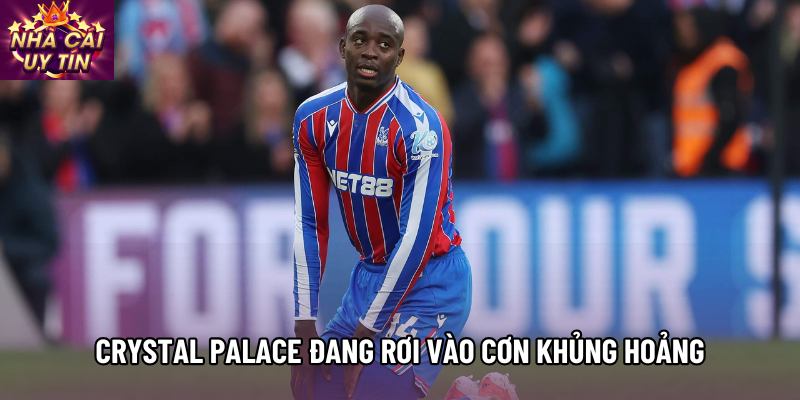 Crystal Palace đang rơi vào cơn khủng hoảng Crystal Palace đang rơi vào cơn khủng hoảng