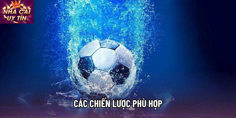 Các chiến lược phù hợp Các chiến lược phù hợp