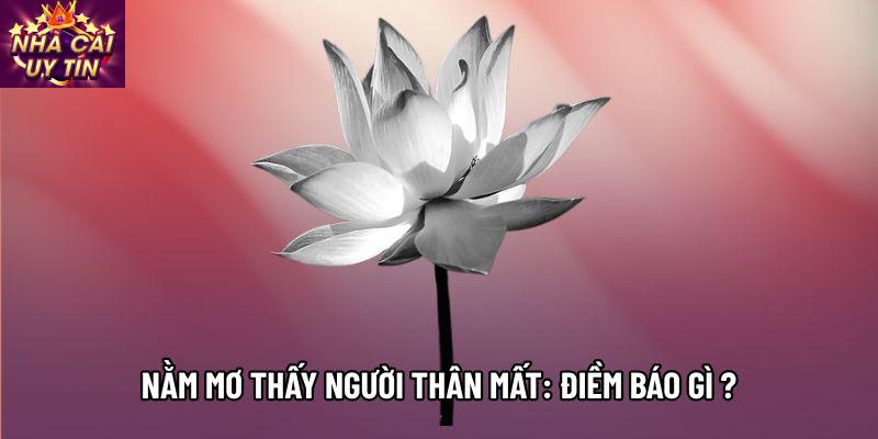 Nằm Mơ Thấy Người Thân Mất: Điềm Báo Gì Cho Giấc Mơ Này?