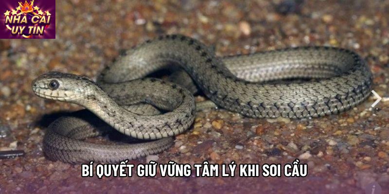 Bí quyết giữ vững tâm lý khi soi cầu